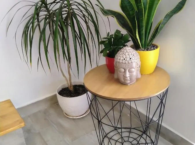 Apartment Lilly Pula