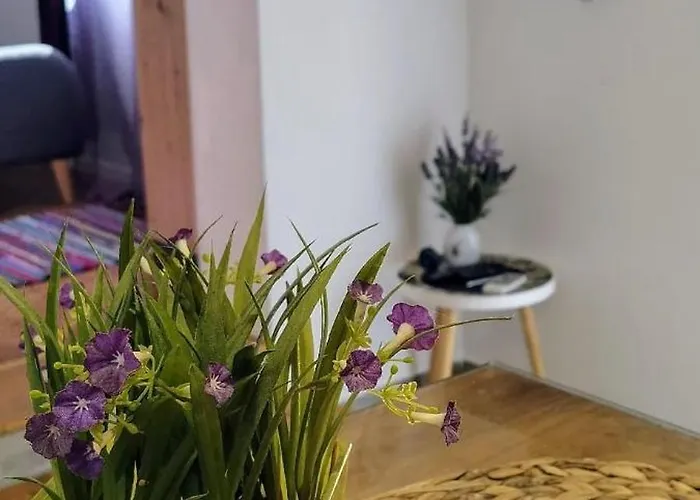 Appartamento Lilly Pola